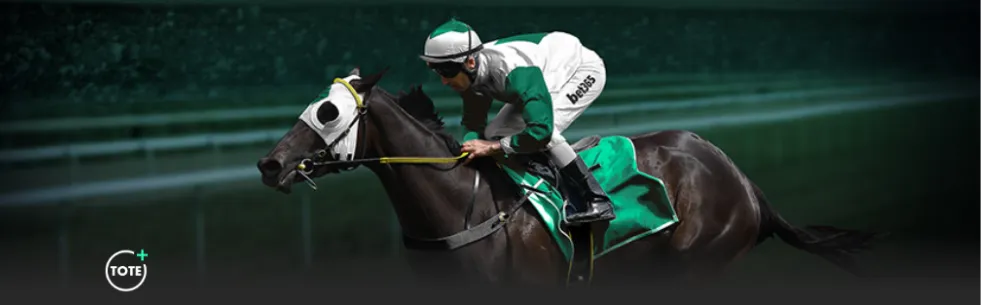 库里泪洒荣,勇士八年四,冠瞬间感动,万博,ManBetX,万博官网,万博体育官网,万博体育下载,万博APP