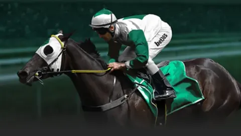 库里泪洒荣耀：勇士八年四冠瞬间感动人心